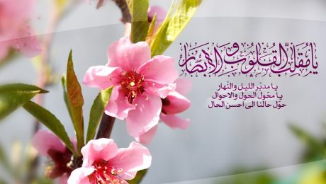 پیام تبریک معاونت فرهنگی و اجتماعی دانشگاه دامغان