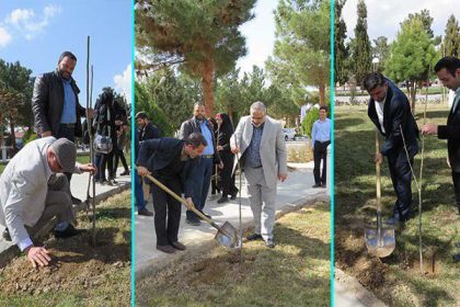 مراسم بزرگداشت روز درختکاری در دانشگاه دامغان برگزار شد مراسم بزرگداشت روز درختکاری در دانشگاه دامغان برگزار شد