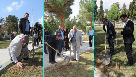 مراسم بزرگداشت روز درختکاری در دانشگاه دامغان برگزار شد