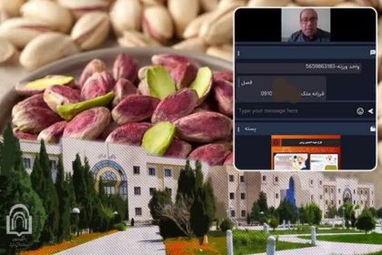 dr-sarfi-pistachio