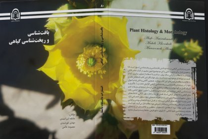 کتاب بافت شناسی و ریخت شناسی گیاهی بافت شناسی و ریخت شناسی گیاهی